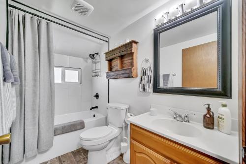 a bathroom with a toilet and a sink and a mirror at Fowl Play Hideaway in Michigan City