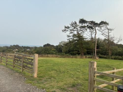 a wooden fence next to a field with a tree at Evening Star Cottages in Saundersfoot