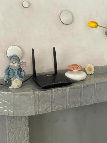 a laptop computer sitting on top of a counter at Rifugio nel cuore dell'Abruzzo in Carpineto Sinello