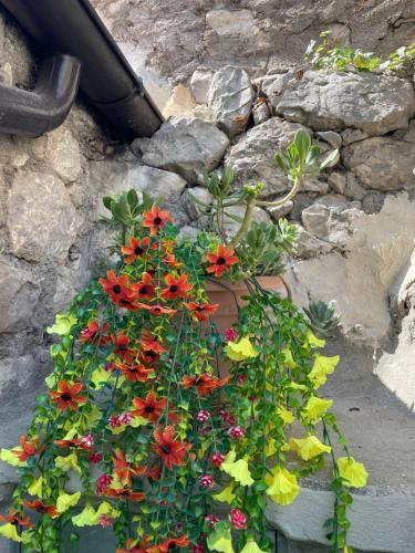 a flower pot with red and yellow flowers in it at Rifugio nel cuore dell'Abruzzo in Carpineto Sinello