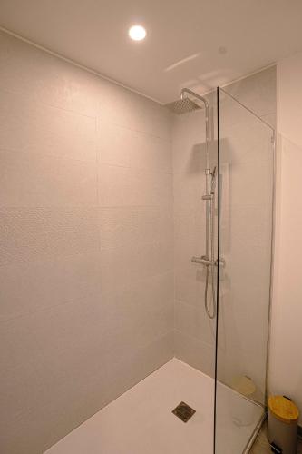 a bathroom with a shower with a glass door at Wonderful cozy studio sea view - swimming pool in Baie Nettle