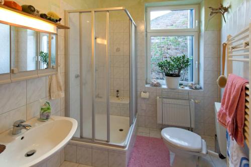 a bathroom with a shower and a sink and a toilet at Hollerhof - Urwüchsiges Paradies - Kreativurlaub in Friedrichswalde