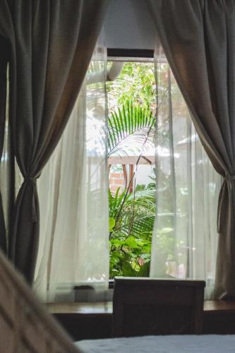 a window with a view of a garden with an umbrella at Hotel Boutique Casa de Los Santos Reyes Valledupar in Valledupar