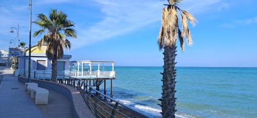 a pier with palm trees next to the ocean at Apartament Gabbiano Bianco in Torretta