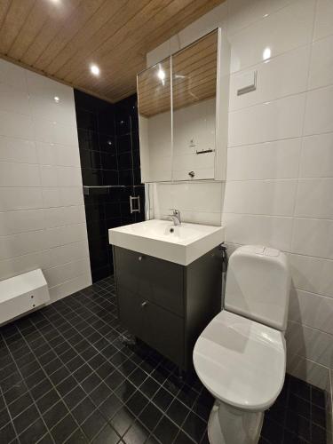 a bathroom with a white toilet and a sink at Studio Ski Lodge in Rovaniemi