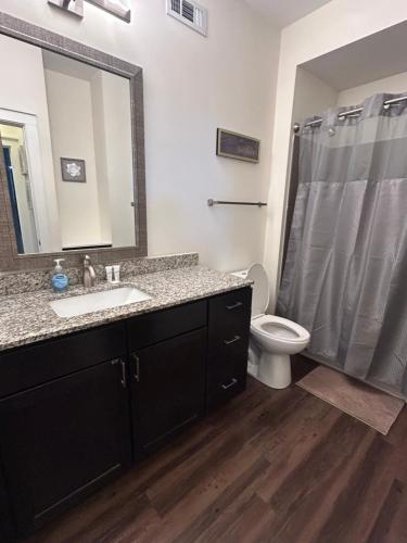 a bathroom with a sink and a toilet and a mirror at 2 Bedroom Boutique Apartment in the Heart of Charlotte in Charlotte