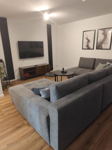 a living room with a gray couch and a tv at Familienfreundliche DGW in ruhiger Lage für 4 Personen - Waschtrockner, Arbeitsplatz, Balkon und Gartennutzung in Aschaffenburg