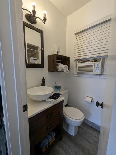 a bathroom with a sink and a toilet and a mirror at Squaw Valley Motel Room 3 in Squaw Valley