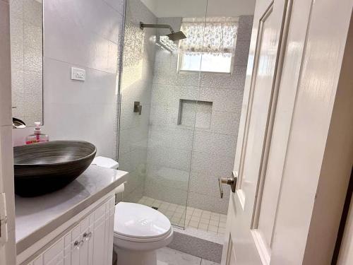 a bathroom with a shower with a sink and a toilet at ZenBreak Steps to the Sea 2Bd in Saint Peter