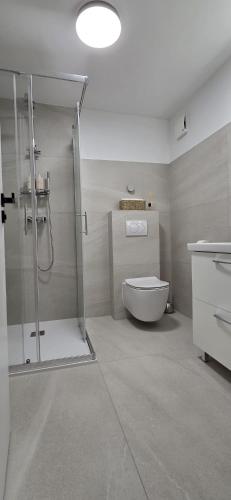 Apartmani Medić