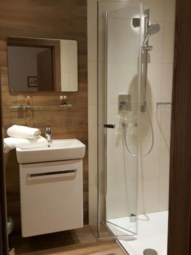 a bathroom with a sink and a shower at Ansitz Strengherrnhof in Caldaro