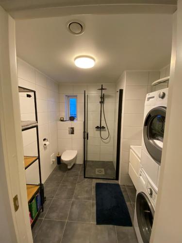 a bathroom with a shower and a washing machine at Apartment in Tromsø with parking in Tomasjorda