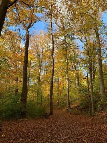 Naturlandschaft in der Nähe der Villa
