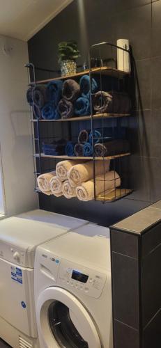 a laundry room with a washing machine and a rack of towels at Slapen bij Ticho in Yerseke