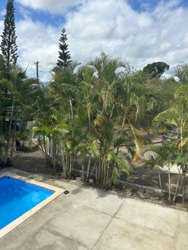 a swimming pool in front of a bunch of palm trees at Villas Burnette in Camú