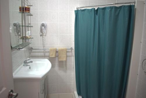 a bathroom with a blue shower curtain and a sink at San Michele Adaminaby in Adaminaby