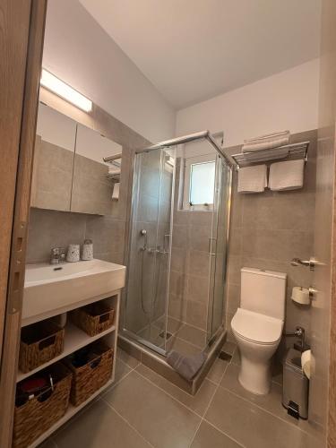 a bathroom with a shower and a toilet and a sink at Kyveli Apartment in Karistos
