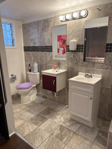 a bathroom with a toilet and a sink and a mirror at House 2br 2 br Montrose Galleria medical center in Houston