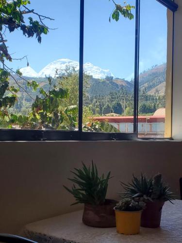 two potted plants sitting on a table in front of a window at Acowasi in Acopampa