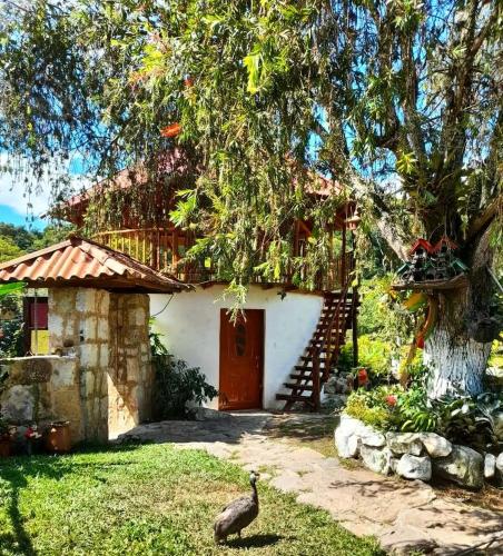 a bird standing in front of a house at Cabaña Orquidea Campestre in Fusagasuga