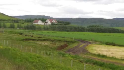 a house in the middle of a field with a dirt road at Birkikinn Holiday Home in Birkikinn