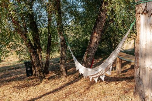 a hammock in the shade of trees at Alma-Rio Dome by Mycelia in Tomar