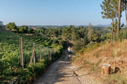 a dirt road through a vineyard on a hill at Alma-Rio Dome by Mycelia in Tomar