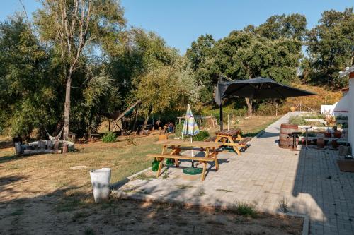 a picnic table and an umbrella in a park at Alma-Rio Dome by Mycelia in Tomar