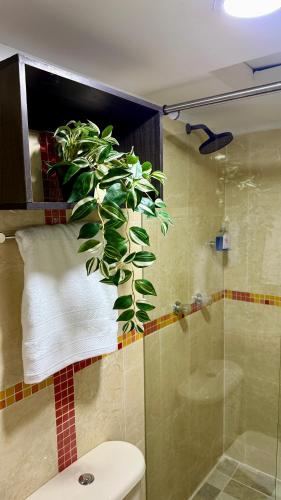 a bathroom with a toilet and a shower with a plant at Casa Bella Apartamentos in Cali