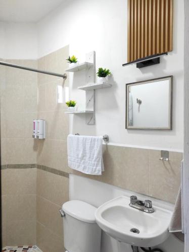a bathroom with a toilet and a sink at Departamento Luz de Lino in Guadalajara