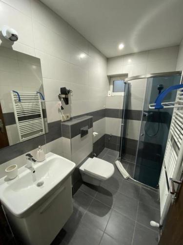 a bathroom with a toilet and a sink and a shower at Villa Rustica in Bešeňová