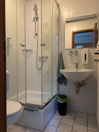 ArzbachにあるHotel Bierhausのシャワー、洗面台、トイレ付きのバスルーム