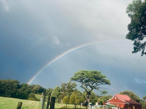 a rainbow in the sky over a tree and a barn at Tuscan Farmhouse in Launching Place