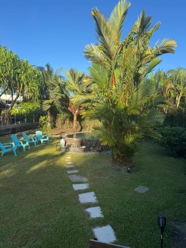 a garden with a palm tree and a pathway at Fare blue Maeva in Papara