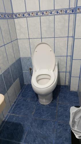 a bathroom with a toilet in a blue tiled room at Inkary Hotel Machupicchu in Machu Picchu