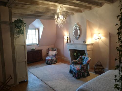 Bucey-en-Othe的住宿－Chateau Des Roises，一间卧室设有壁炉、两把椅子和吊灯。