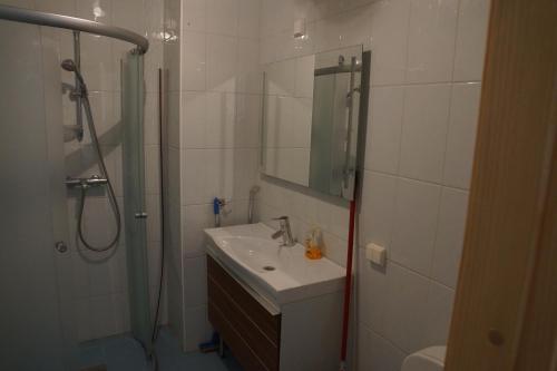 La salle de bains est pourvue d'une douche et d'un lavabo. dans l'établissement Viru väljak 6 Apartment, à Tallinn
