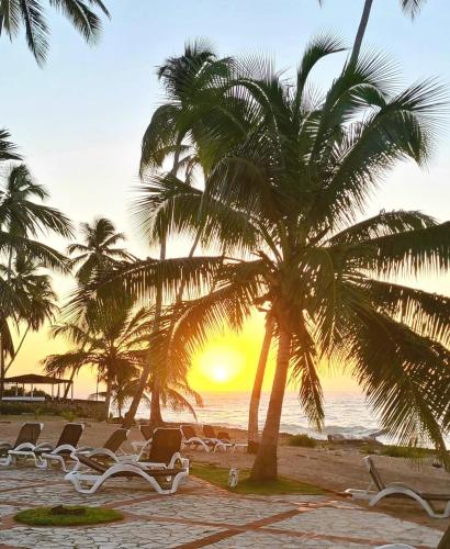 a group of chairs on a beach with palm trees at Caribean Seascape in Villas del Mar