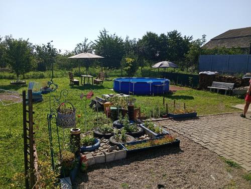 un giardino con un mucchio di piante in un cortile di Casa Tamara a Turda