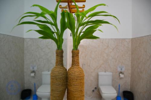 Ένα μπάνιο στο Arugambay Surf Centre