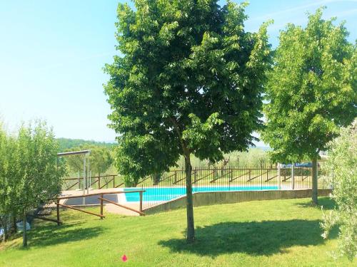 a tree in the grass next to a swimming pool at Montalceto Tuscan Nest in Serre di Rapolano