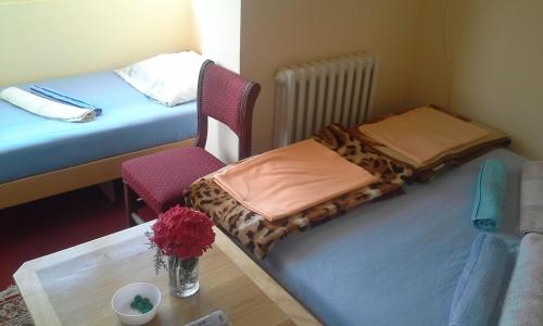 Postel nebo postele na pokoji v ubytování Guest house Mirijevski Konak