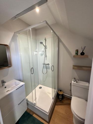 a bathroom with a shower and a toilet at Le precieux de la Gare in Saint-Pierre-des-Corps