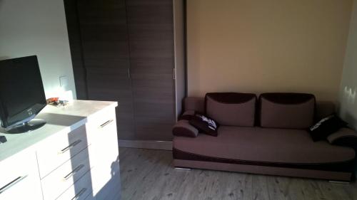 salon z kanapą i telewizorem z płaskim ekranem w obiekcie DRAGON Apartments (Helena) w Krakowie