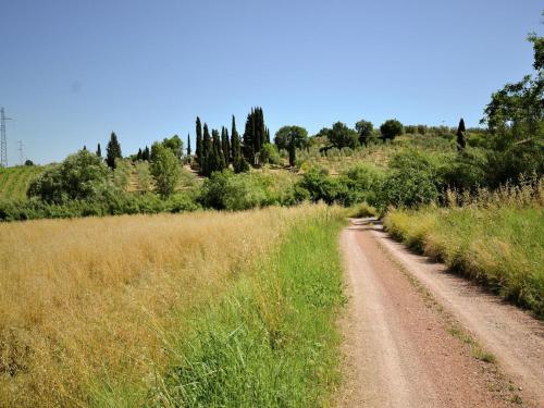 a dirt road in the middle of a field at Romantic Getaway with Views in Montecastelli Pisano