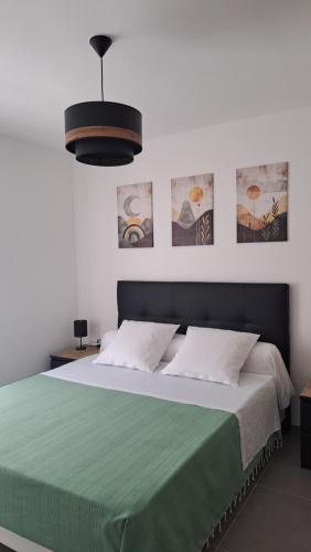 a bedroom with a large bed with a green blanket at LE SNOOKYBAY - Appartement Neuf - Classé 3 étoiles in Cavalaire-sur-Mer