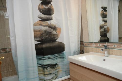 a bathroom with a shower curtain with a stack of rocks at Brisa Beach in Santa Susanna