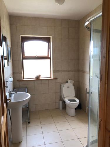 a bathroom with a toilet and a sink at The Studio in Newtown-Dillon