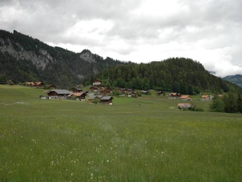 a green field with a group of houses in the mountains at Chalet in Lenk near Simmen Falls in Lenk