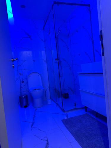 a bathroom with a toilet in a blue room at Modern house in Larnaca in Larnaka